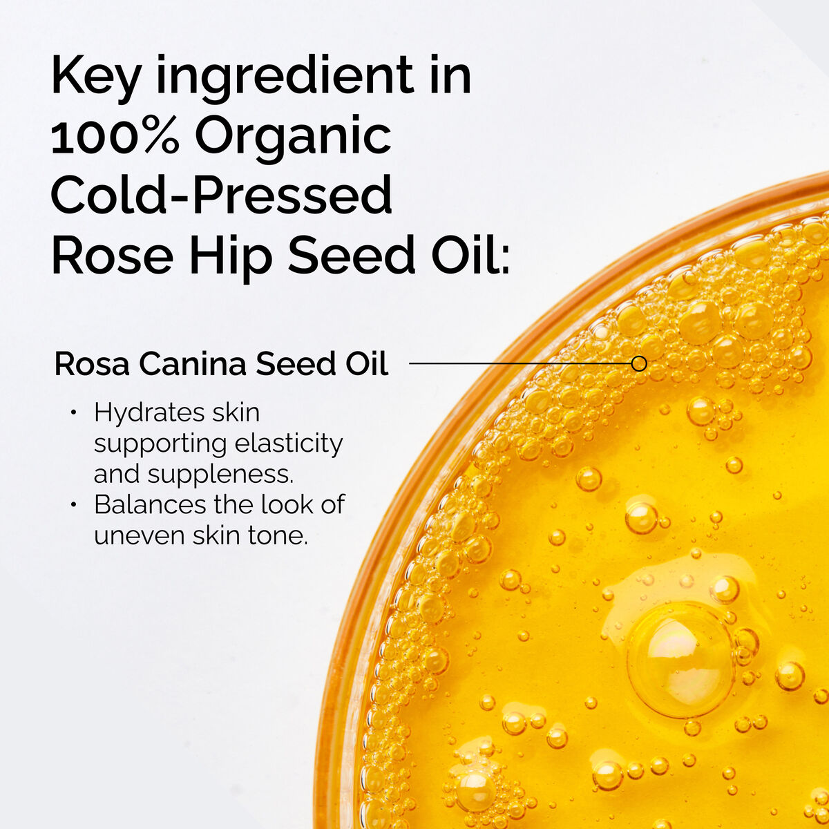 100-organic-cold-pressed-rose-hip-seed-oil-p4 FY25-D41247-ORD-Web-PDP-100-Rose-Hip-Oil-1x1-EN-2.jpg