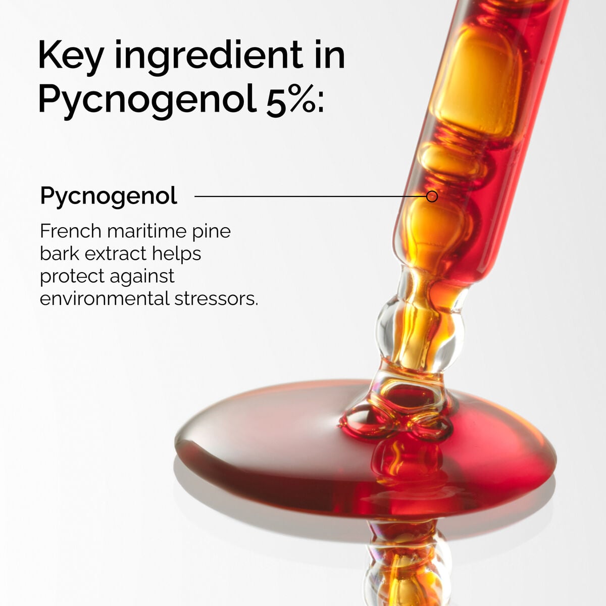 pycnogenol-5-v0 FY25-D41247-ORD-Web-PDP-Pyc-5pct-1x1-EN-2a.jpg