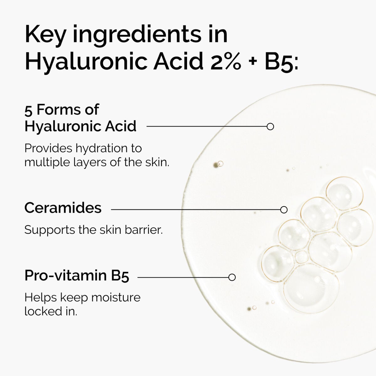 hyaluronic-acid-2-b5-with-ceramides-z7 ord-hyaluronic-acid-2pct-b5-hydrating-serum-ingredients-graphic.jpg